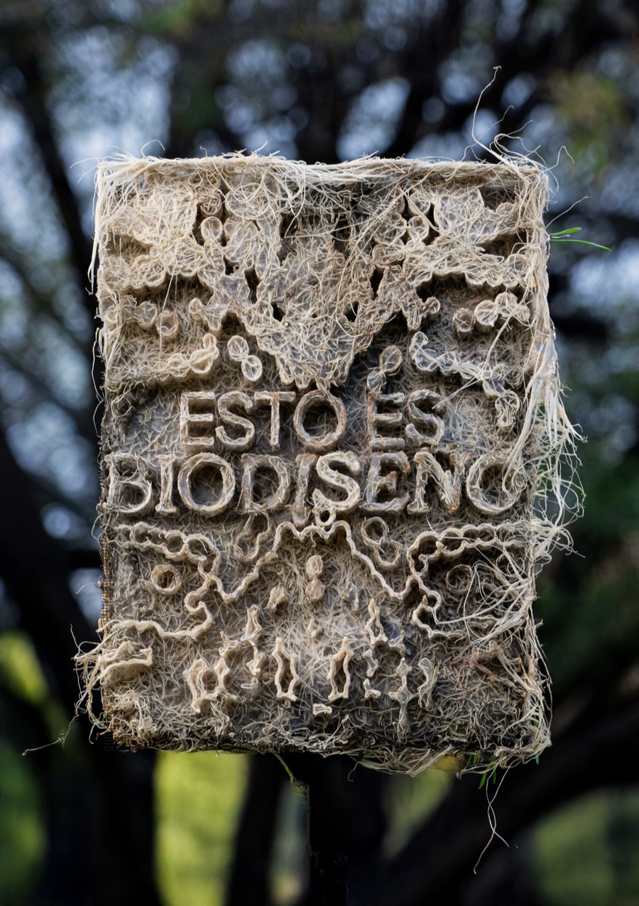 Biodiseño Gráfico · Sofía Porto Iannuzzi